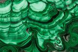 Polished Banded Malachite Slab - D R Congo #379779-1